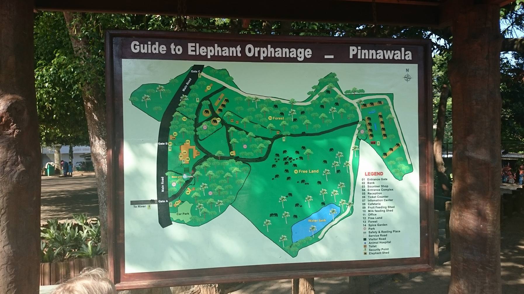 Pinnawale - hodowla i sierociniec dla słoni